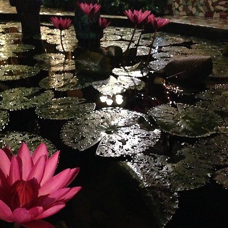 푸에르토프린세사 The Lotus Garden B&B 외부 사진
