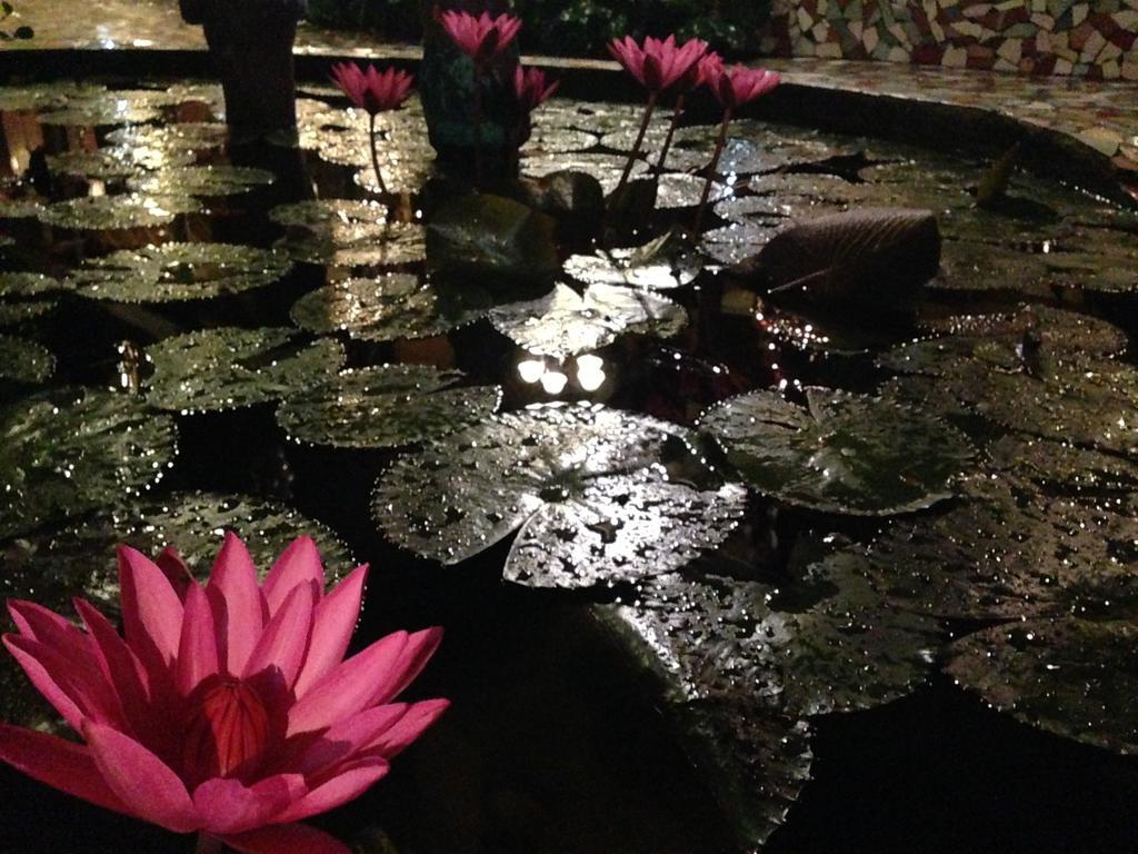 푸에르토프린세사 The Lotus Garden B&B 외부 사진