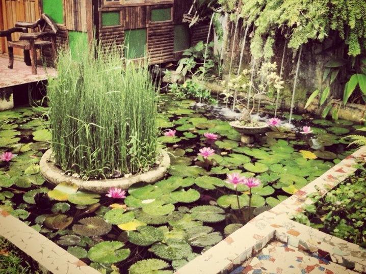 푸에르토프린세사 The Lotus Garden B&B 외부 사진